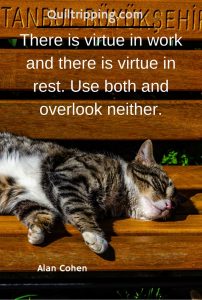 There is virtue in work and there is virtue in rest