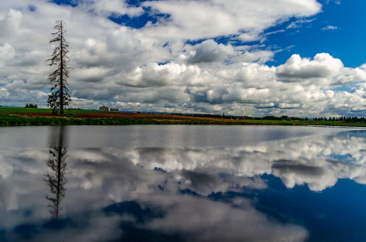 Reflection in the Tualatin Valley, Oregon
