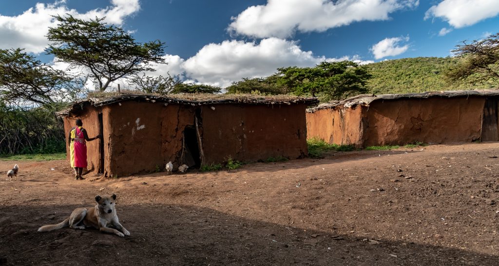 Typical Maasai houses made of mud walls and thatched roofs