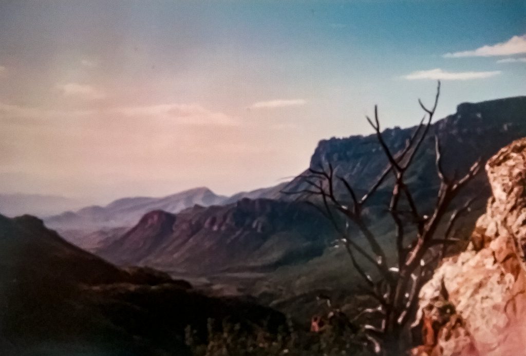 1990 Vintage ppview of Lost Mine Trail