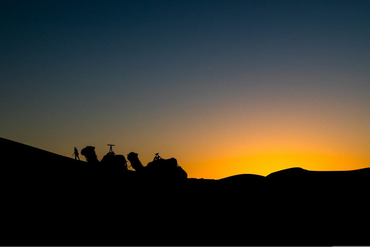 PhotoPOSTcard: A Sahara Desert Sunrise