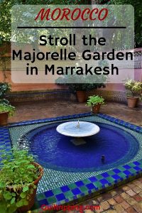 Take a stroll through the Majorelle Garden in Marrakesh #majorellegarden #marrakesh #morocco #yvessainlaurent