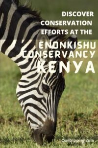 Discover the conservation effort in the Enonkishu conservancy in Kenya