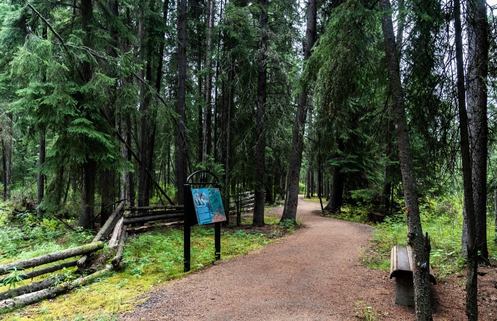 Wedgewood Resort Nature trail