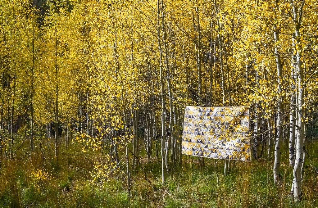 Aspen Glow quilt in a grove of golden aspens