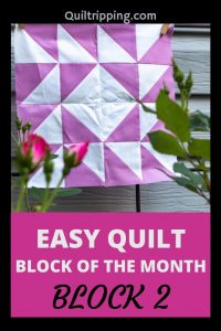 An easy quilt block of the month program - block 2