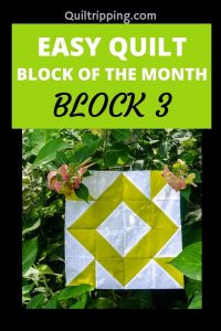Sharing block three of my easy quilt block of the month program
