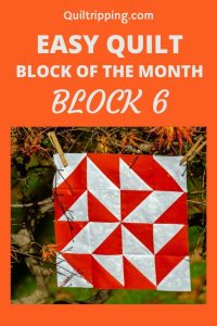 Learn how to make block 6 in my block of the month program