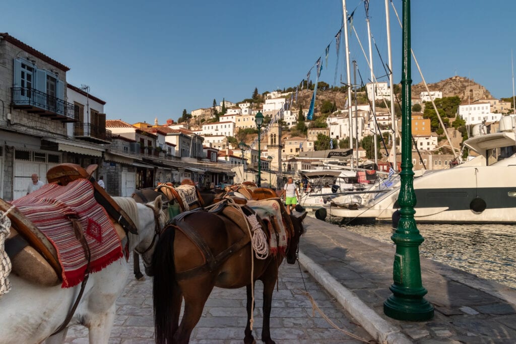 Donkeys waiting for passengers to carry their luggage to the hotels