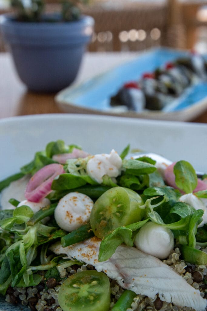 My delicious meal of salad and appetizer at Techne