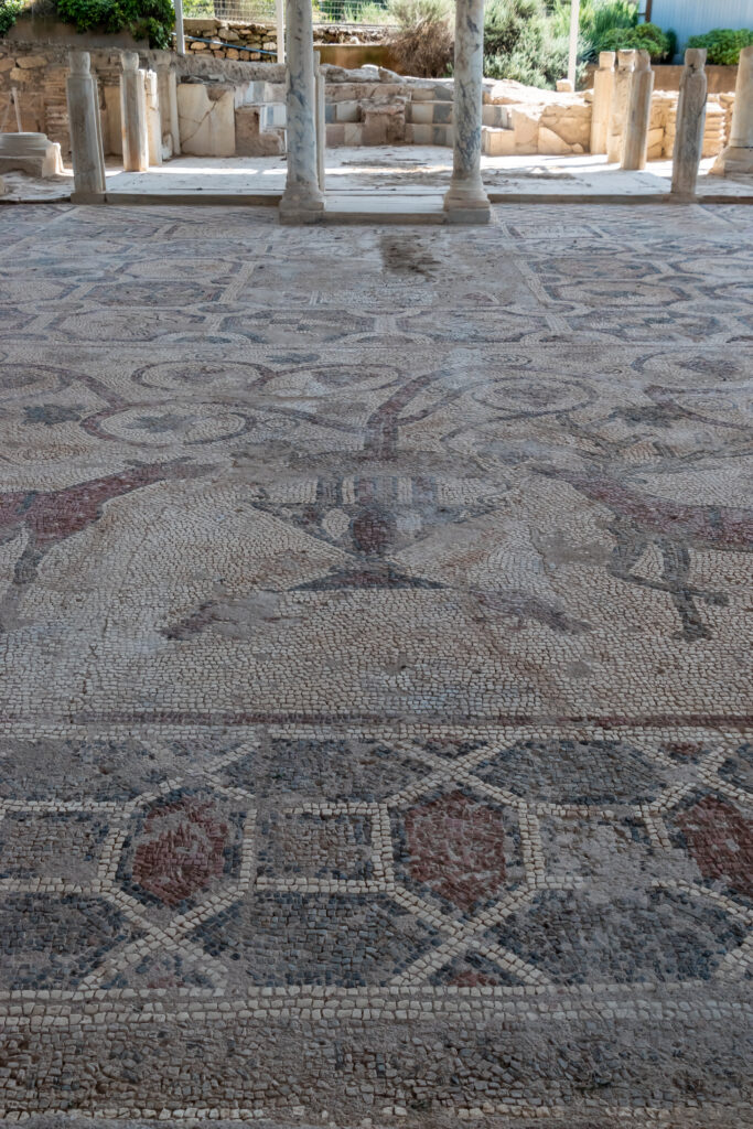 The mosaic floor in the Basilica of Sophronios