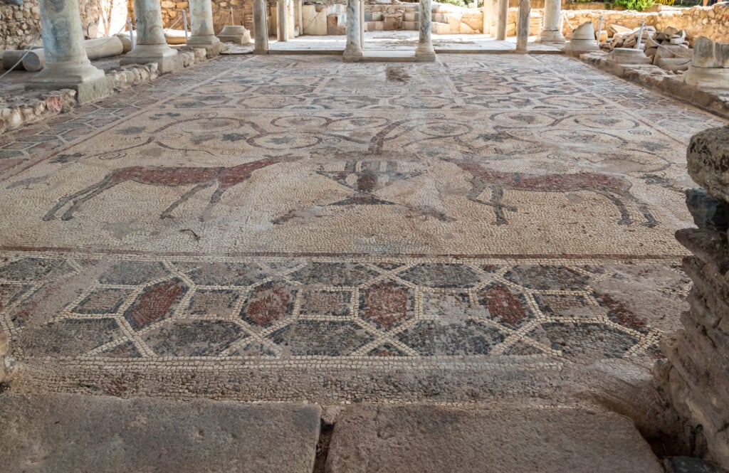 The beautiful floor mosaic at the Basilica of Sophronios