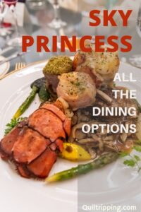Use this guide to learn about all the dining options on the Sky Princess before you plan your cruise