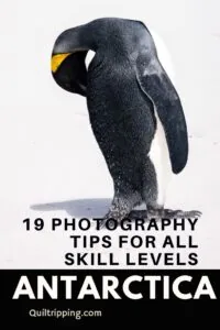 Use these 19 photography tip to get the best photos on a trip to Antarctica