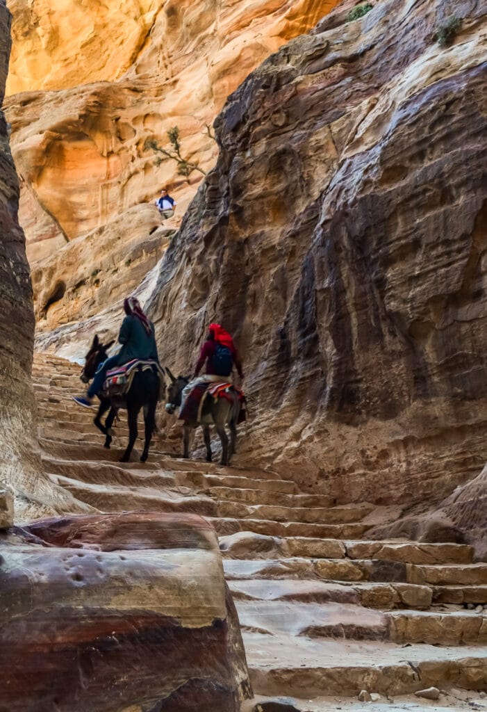 Donkeys can take you up the 800+ stairs that take you up to the Monastery in Petra