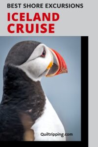Discover the best shore excursions in Iceland on an Iceland cruise
