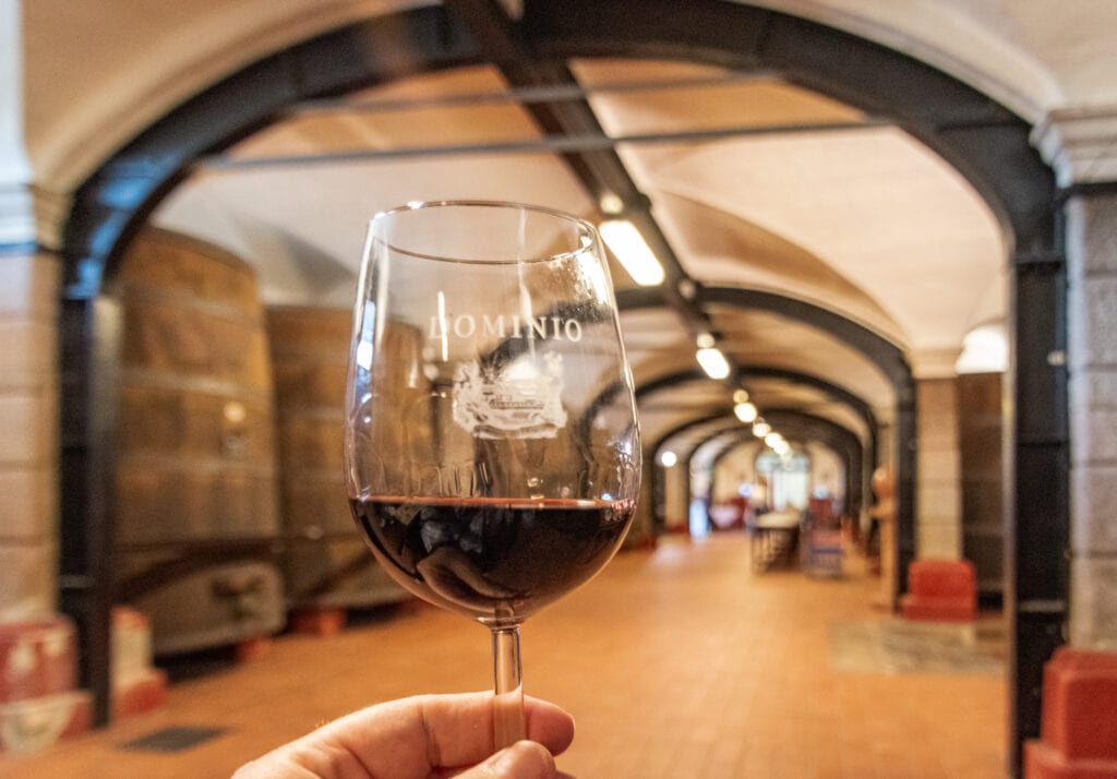 Wine tasting in the cellar at Dominio Di Bagnoli winery
