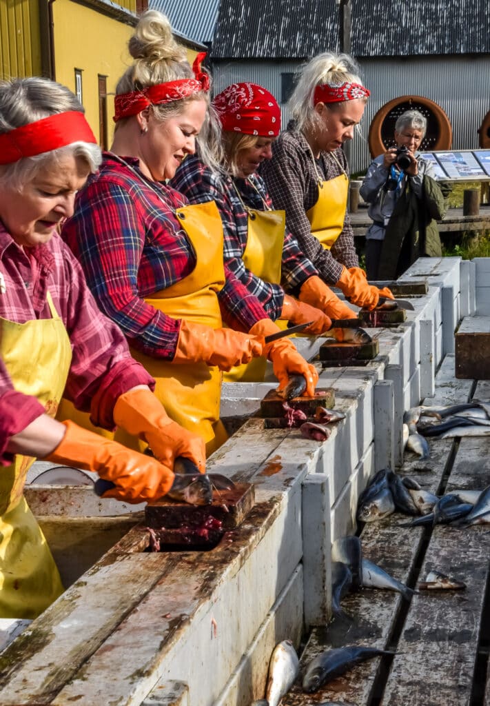 Modern day Herring Girls demonstrating how to quickly clean herring