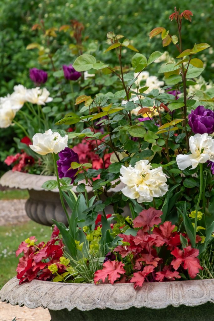 Secret garden