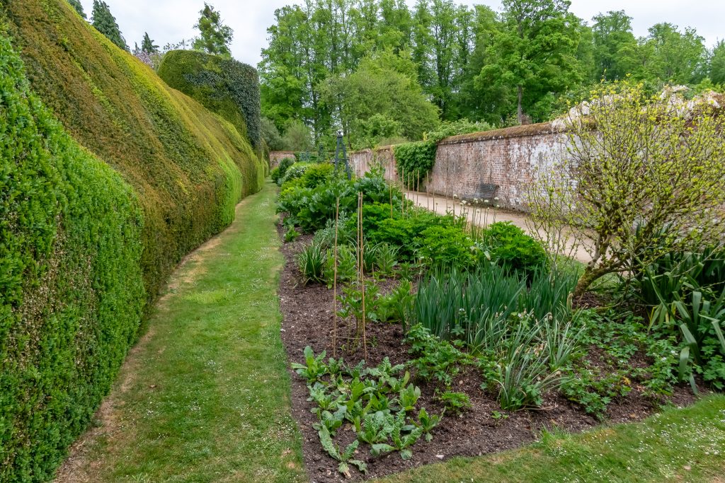 Secret garden