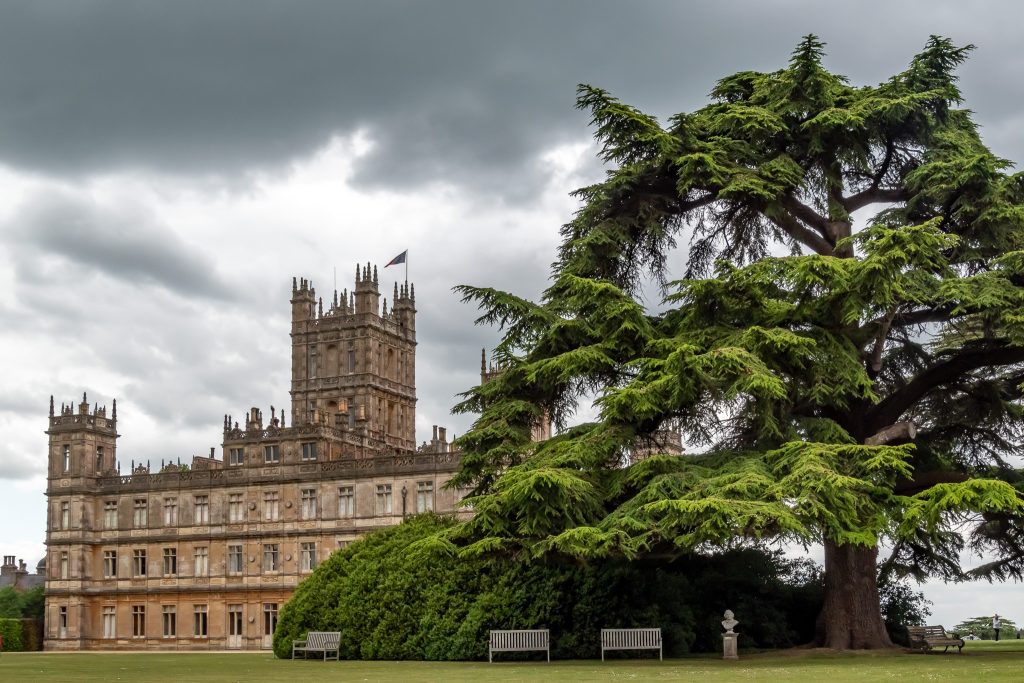 Ancient trees surround Highclere Castle