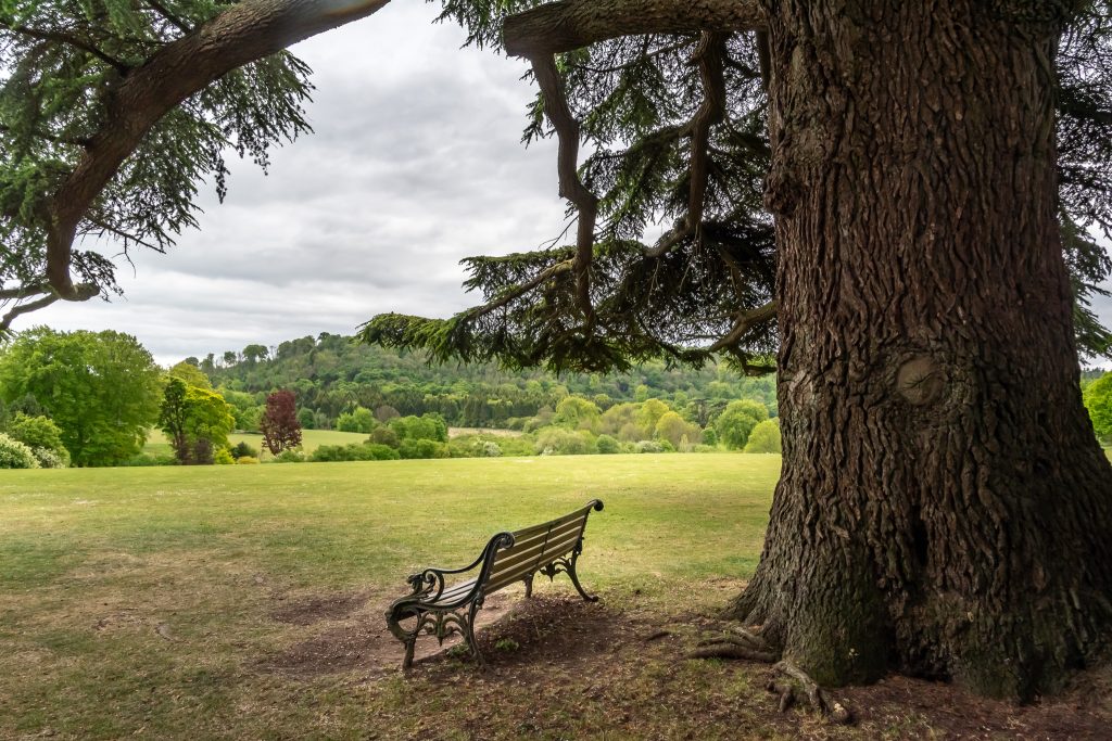 Lady Mary's bench