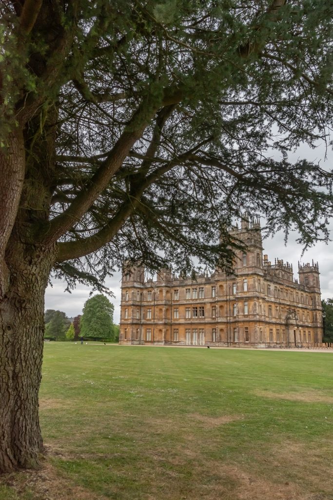 Highclere Castle framed by one of the ancient Lebanon Cedar trees