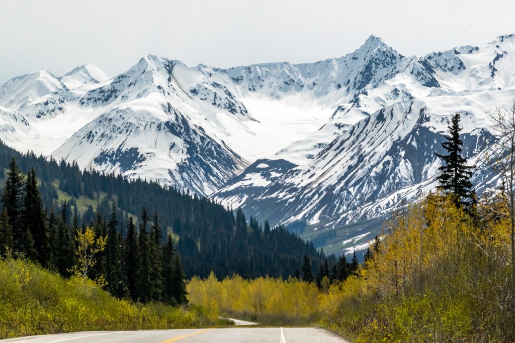 Driving the Haines Highway