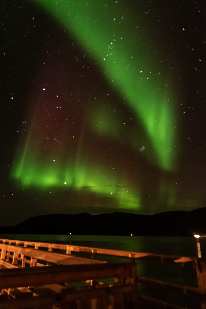 Red and green auroras in the sky