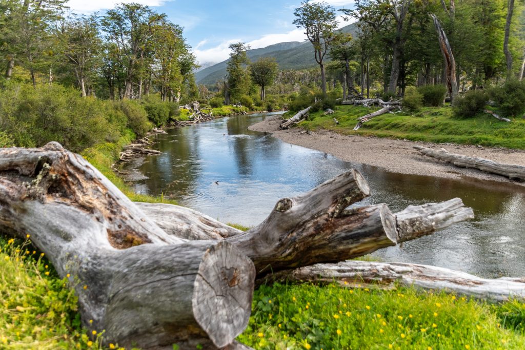 Beautiful Tierra del Fuego views
