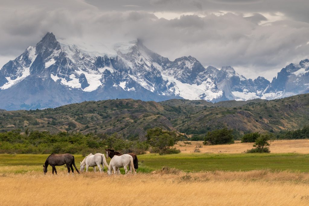 Classic Torres del Paine view