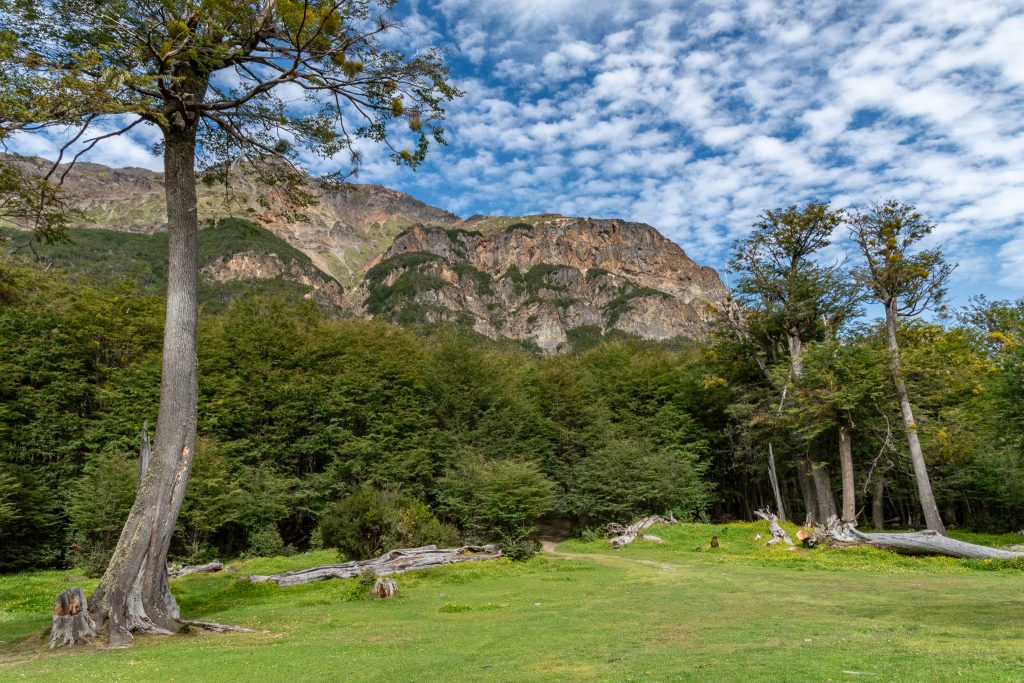 More scenic views from our picnic area