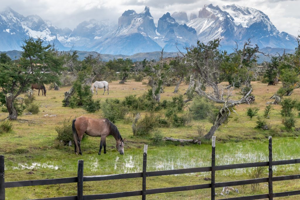 View from the Pampa Lodge windows