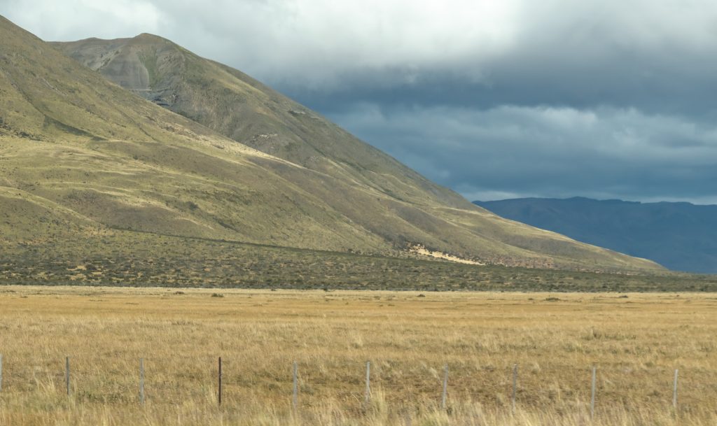 the grassy landscape is typical in Patagonia