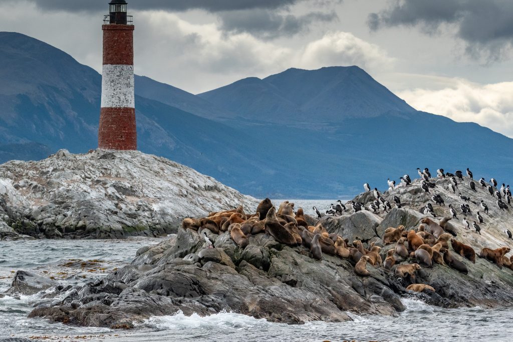 Views from the cruise on the Beagle Channel