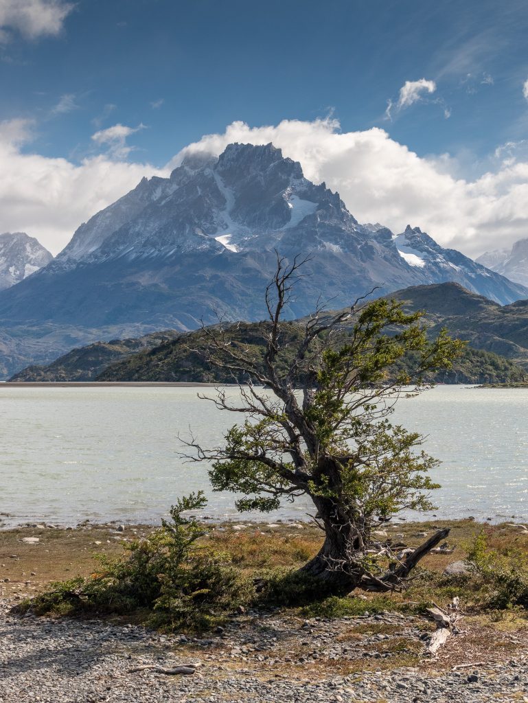 At Lago Grey