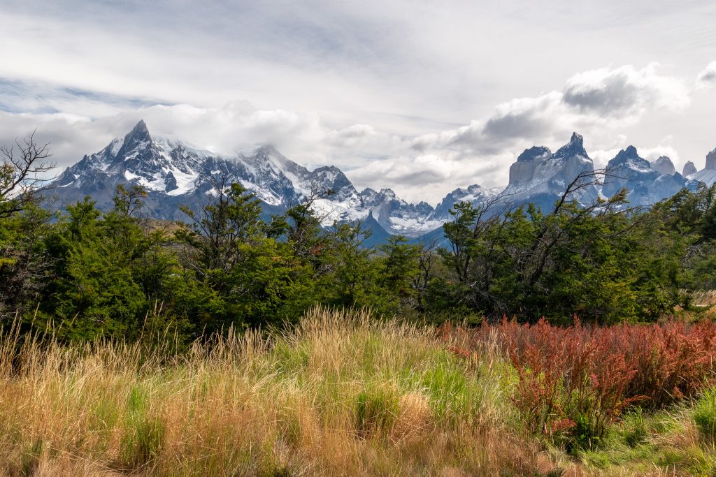 Another view at the Explora Patagonia pull-off