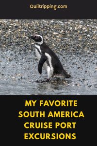 sharing my favorite South America cruise port excursions