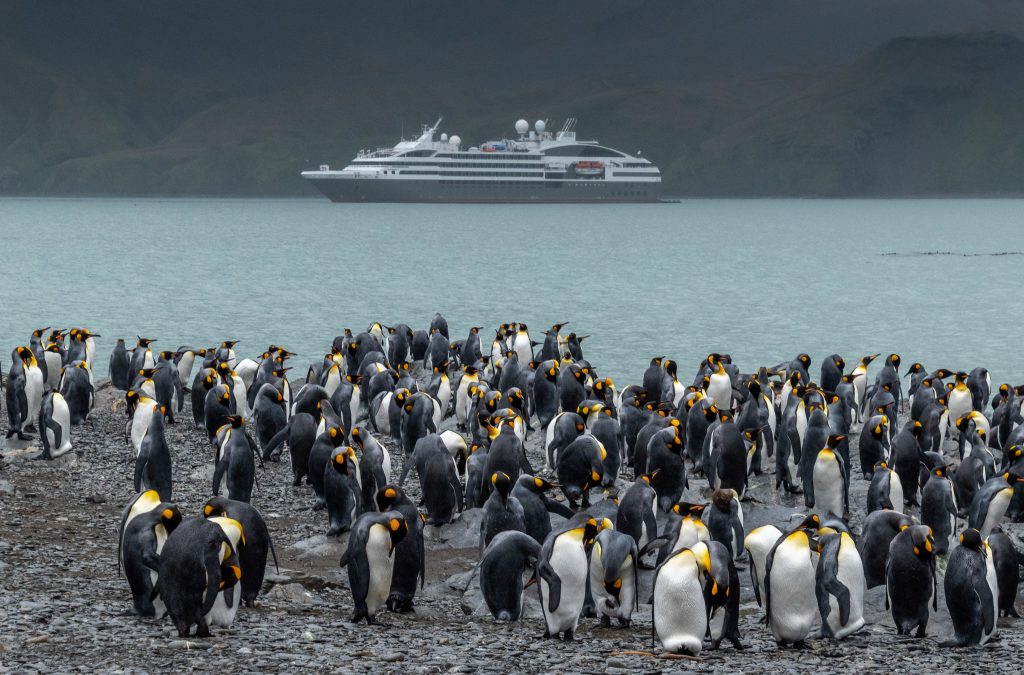 The L'Austral in South Georgia Island