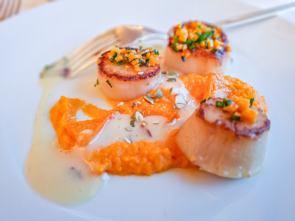 Perfectly prepared scallops at dinner