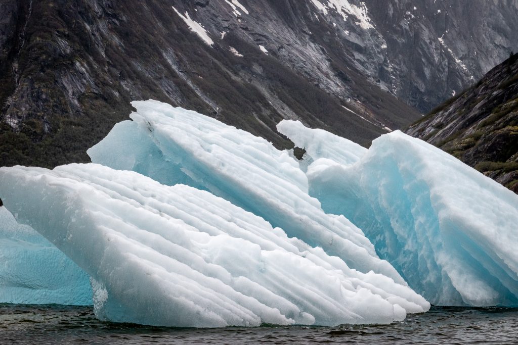 Interesting icebergs near Dawes Glacier
