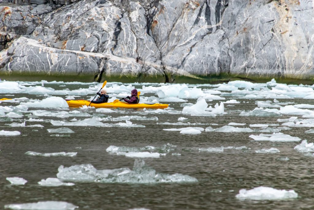 Kayakers paddling though floating ice in Endicott Arm