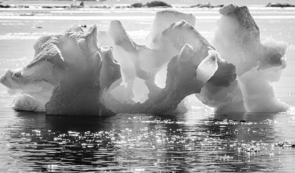 small sculpted iceberg in Antarctica