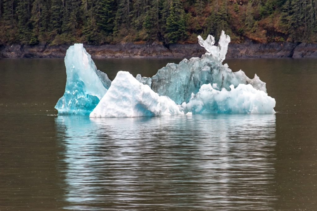 Passing an iceberg in Endicott Arm