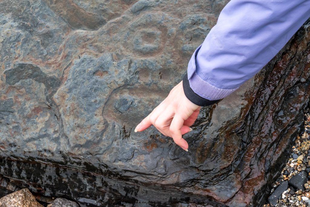 Petroglyph in Petroglyph State Park