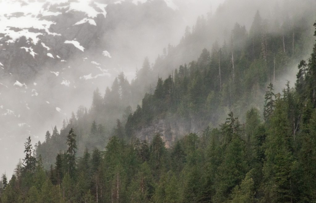 Classic Misty Fjords National Monument views