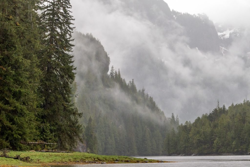 Beautiful scenery in Misty Fjords National Monument