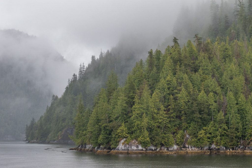 Scenery in Misty Fjords National Monument