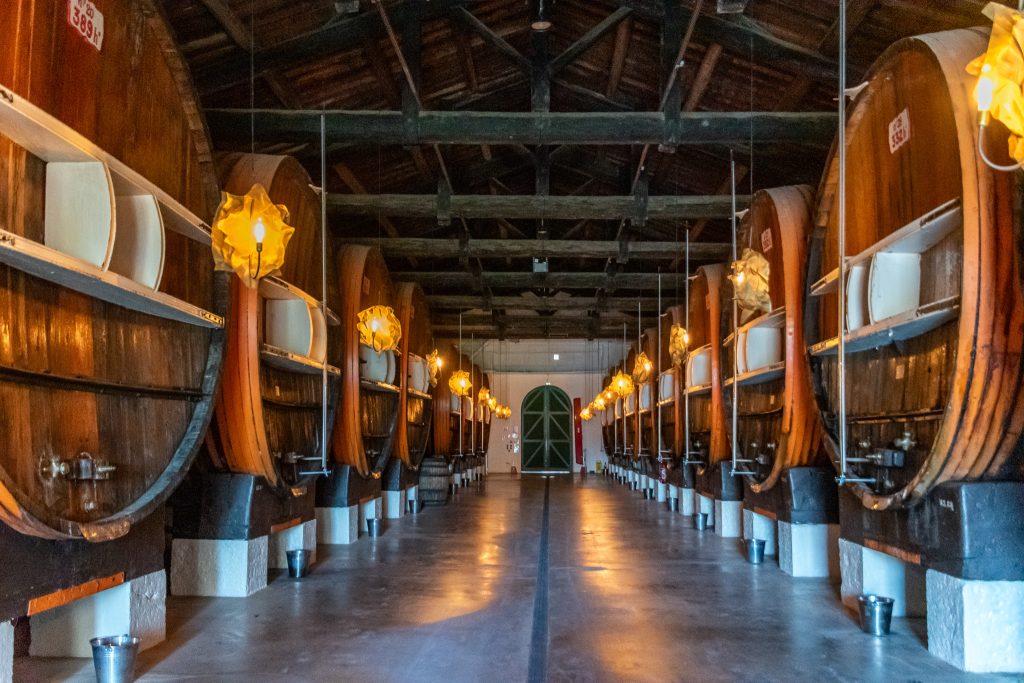 Large, historic aging barrels at Noilly Pratt