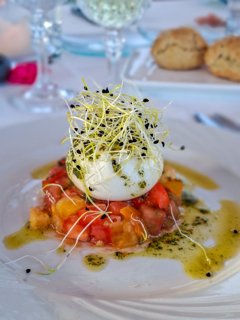 Tomato and burrata starter